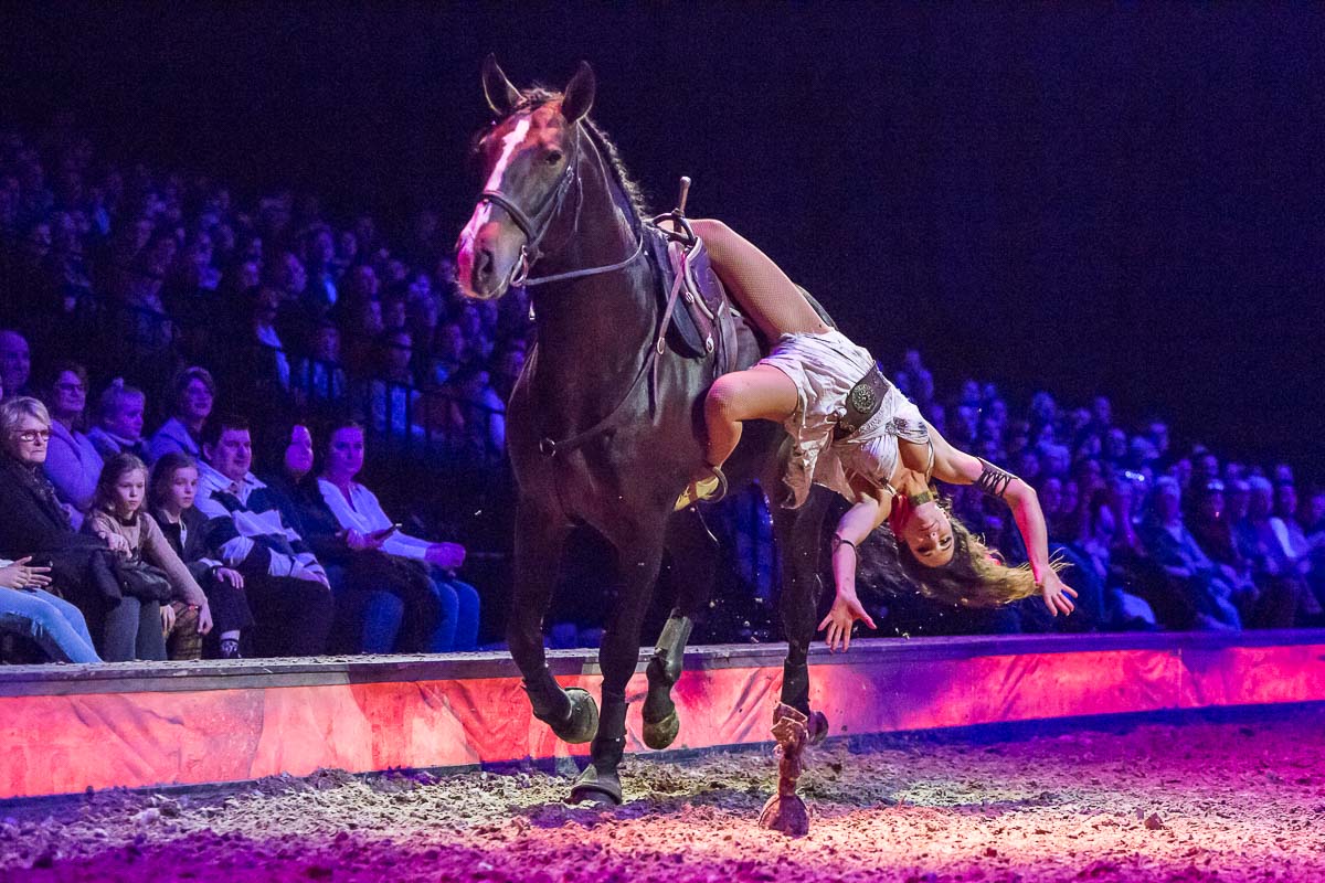 Cavalluna Legend of the desert @ Sportpaleis, picture 72, photographed by Marc Verdonck - FrontView Magazine