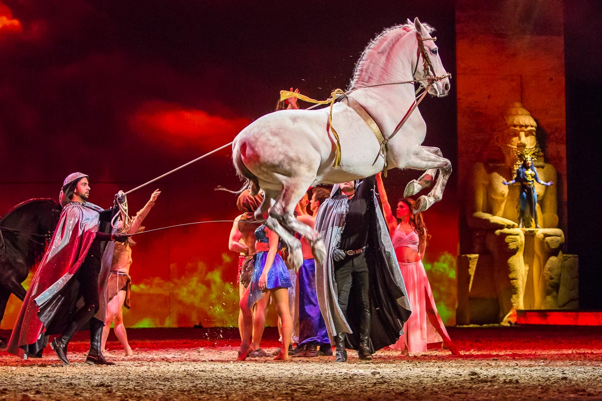 Cavalluna Legend of the desert @ Sportpaleis, picture 74, photographed by Marc Verdonck - FrontView Magazine