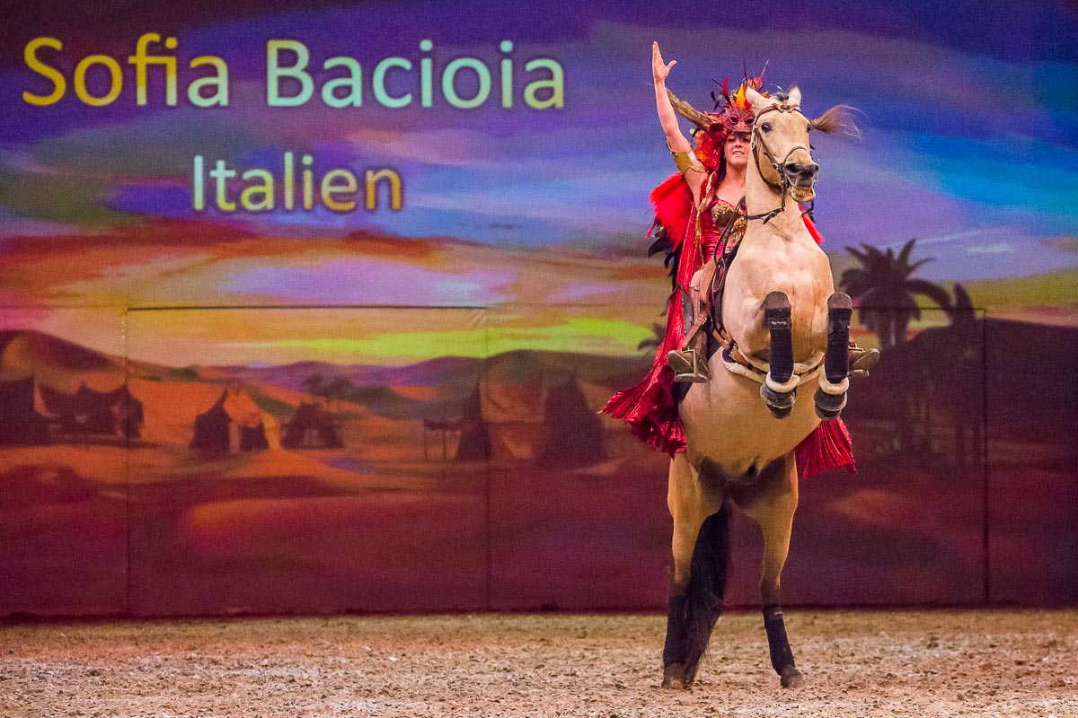 Cavalluna Legend of the desert @ Sportpaleis, picture 82, photographed by Marc Verdonck - FrontView Magazine
