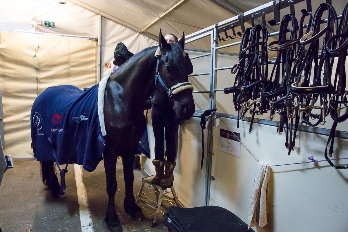 Cavalluna Legend of the desert backstage @ Sportpaleis, foto 7, foto's door Marc Verdonck - FrontView Magazine