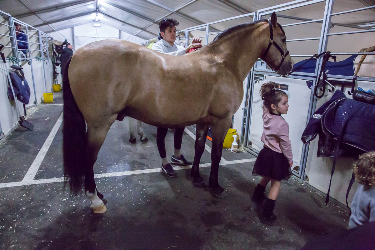 Cavalluna Legend of the desert backstage @ Sportpaleis, foto 11, foto's door Marc Verdonck - FrontView Magazine