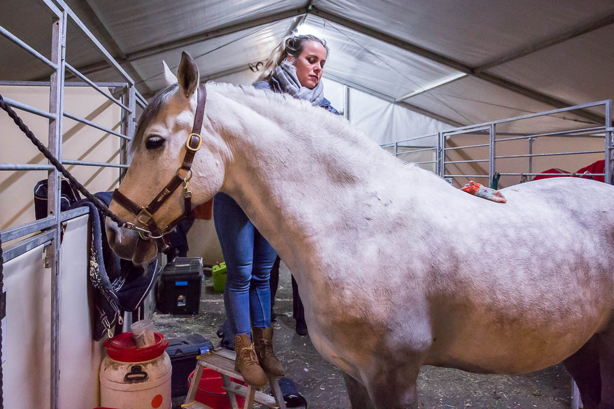 Cavalluna Legend of the desert backstage @ Sportpaleis, foto 19, foto's door Marc Verdonck - FrontView Magazine