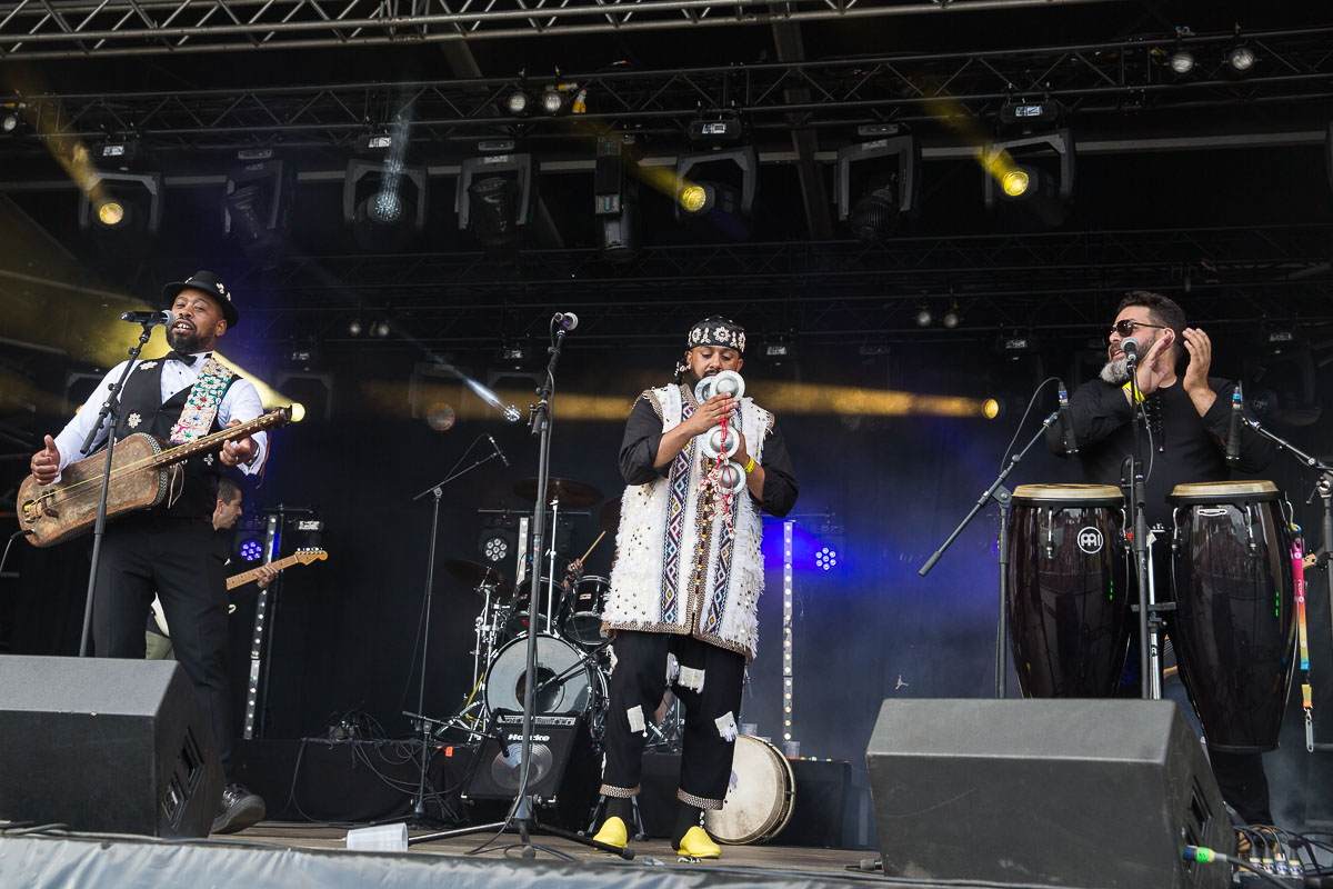 The Grey Stars @ Sfinks Mundial XL, picture 13, photographed by Marc Verdonck - FrontView Magazine