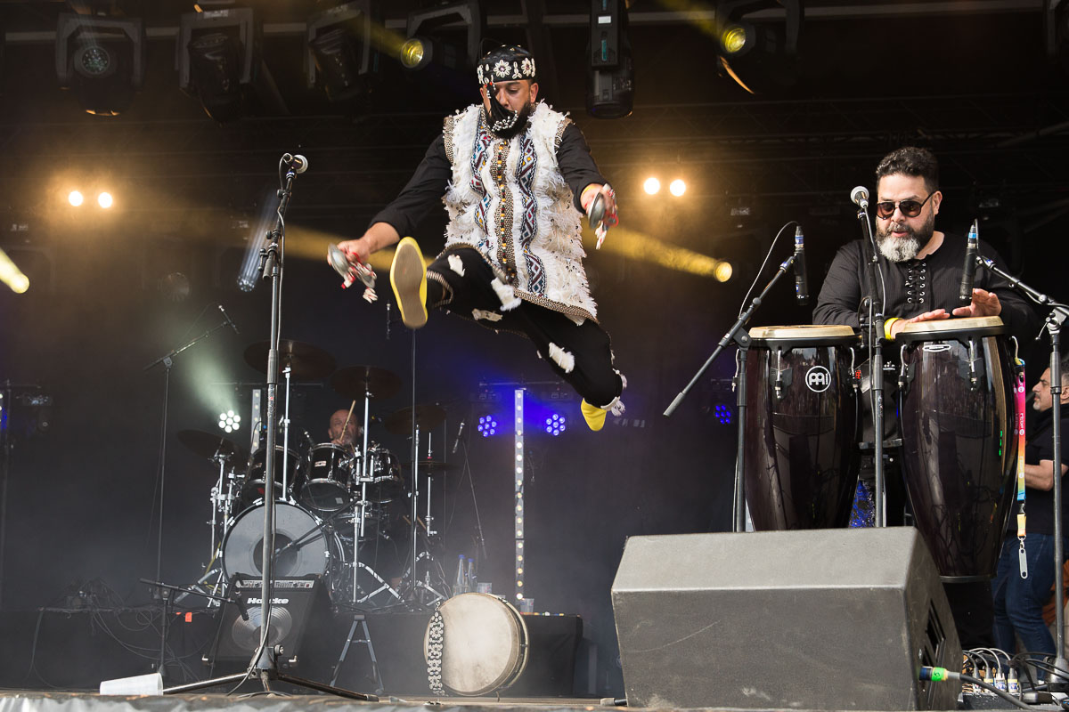 The Grey Stars @ Sfinks Mundial XL, picture 15, photographed by Marc Verdonck - FrontView Magazine