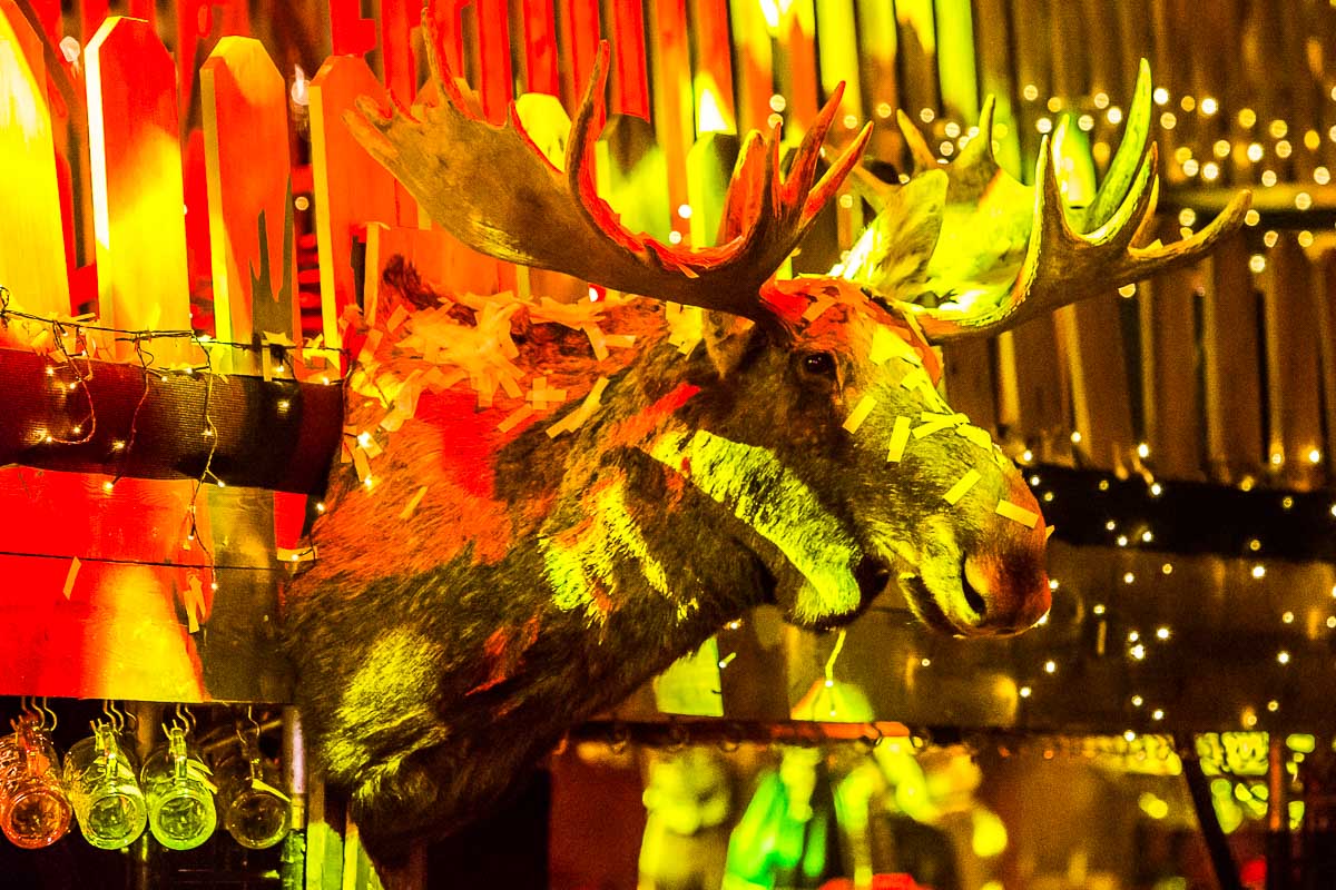 Moose Bar XXL @ Sportpaleis, picture 88, photographed by Marc Verdonck - FrontView Magazine