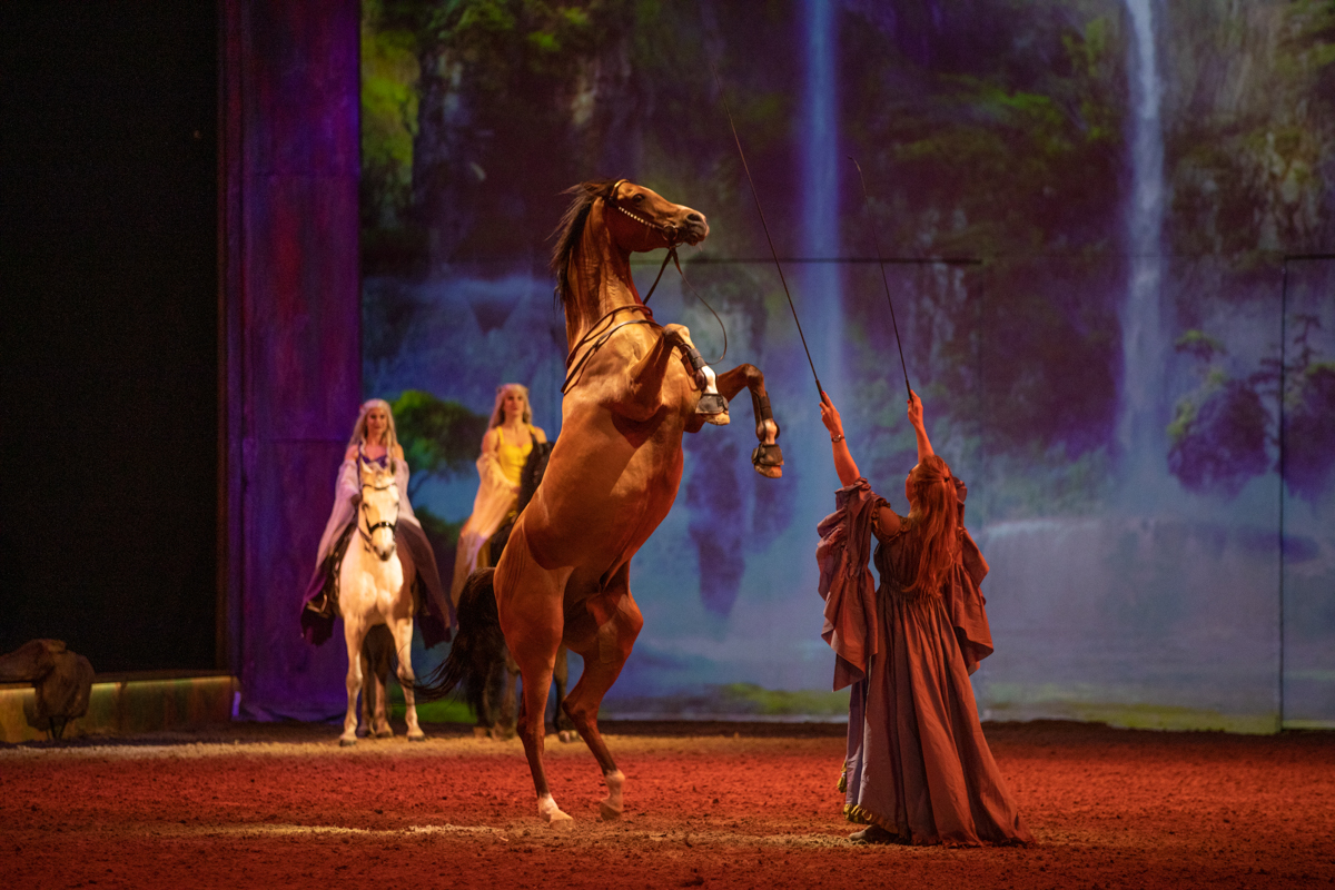 Cavalluna "Celebration" @ Sportpaleis, picture 4, photographed by dirk janssens - FrontView Magazine