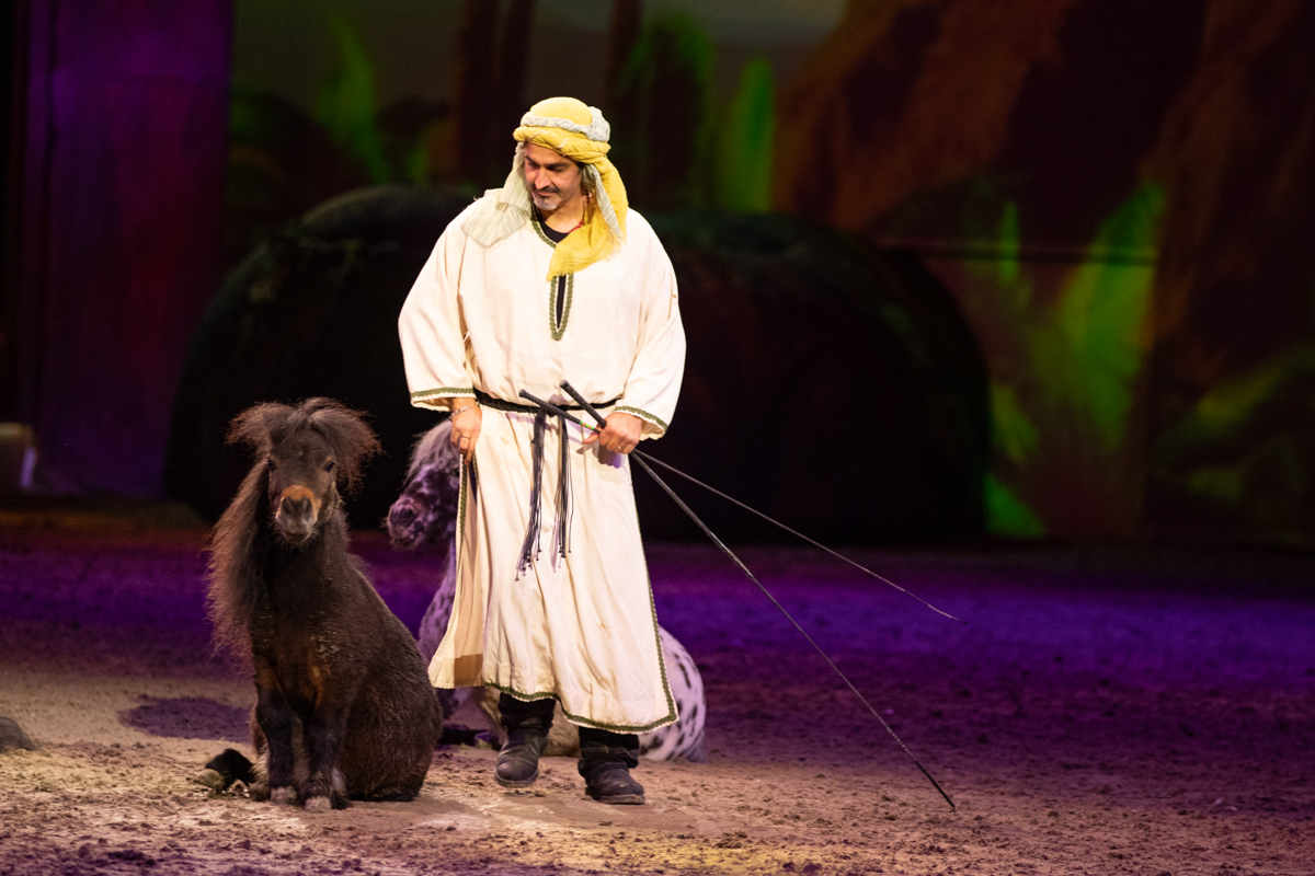 Cavalluna "Celebration" @ Sportpaleis, picture 12, photographed by dirk janssens - FrontView Magazine