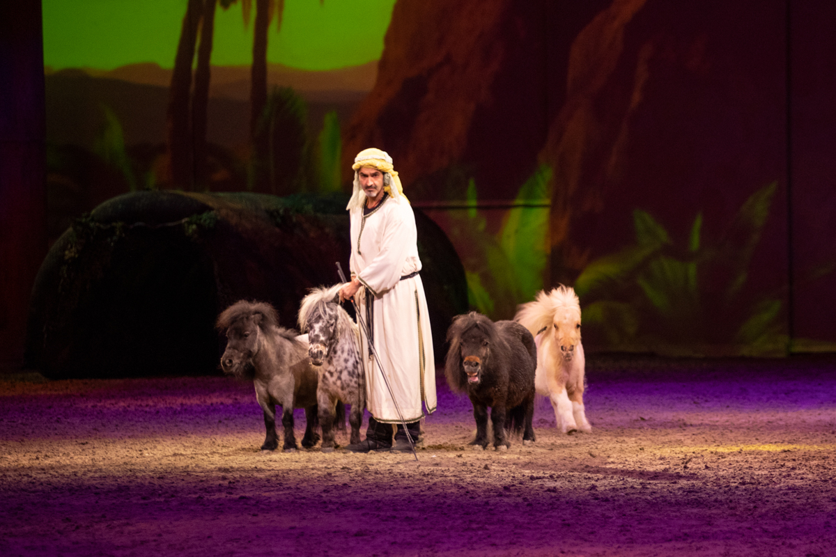 Cavalluna "Celebration" @ Sportpaleis, picture 13, photographed by dirk janssens - FrontView Magazine