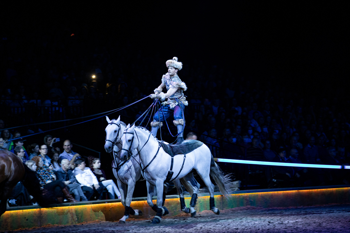 Cavalluna "Celebration" @ Sportpaleis, picture 18, photographed by dirk janssens - FrontView Magazine