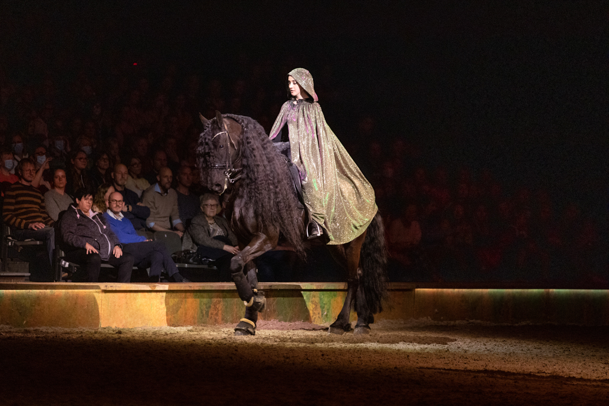 Cavalluna "Celebration" @ Sportpaleis, picture 26, photographed by dirk janssens - FrontView Magazine