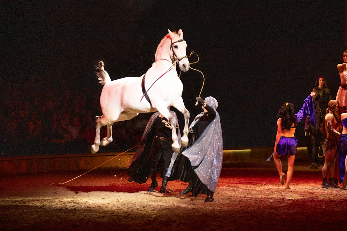 Cavalluna "Celebration" @ Sportpaleis, picture 27, photographed by dirk janssens - FrontView Magazine