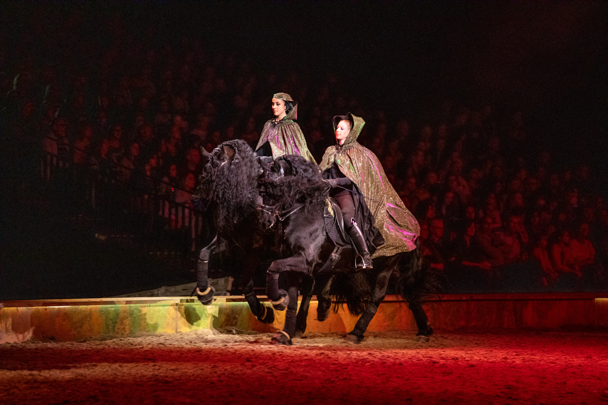 Cavalluna "Celebration" @ Sportpaleis, picture 28, photographed by dirk janssens - FrontView Magazine