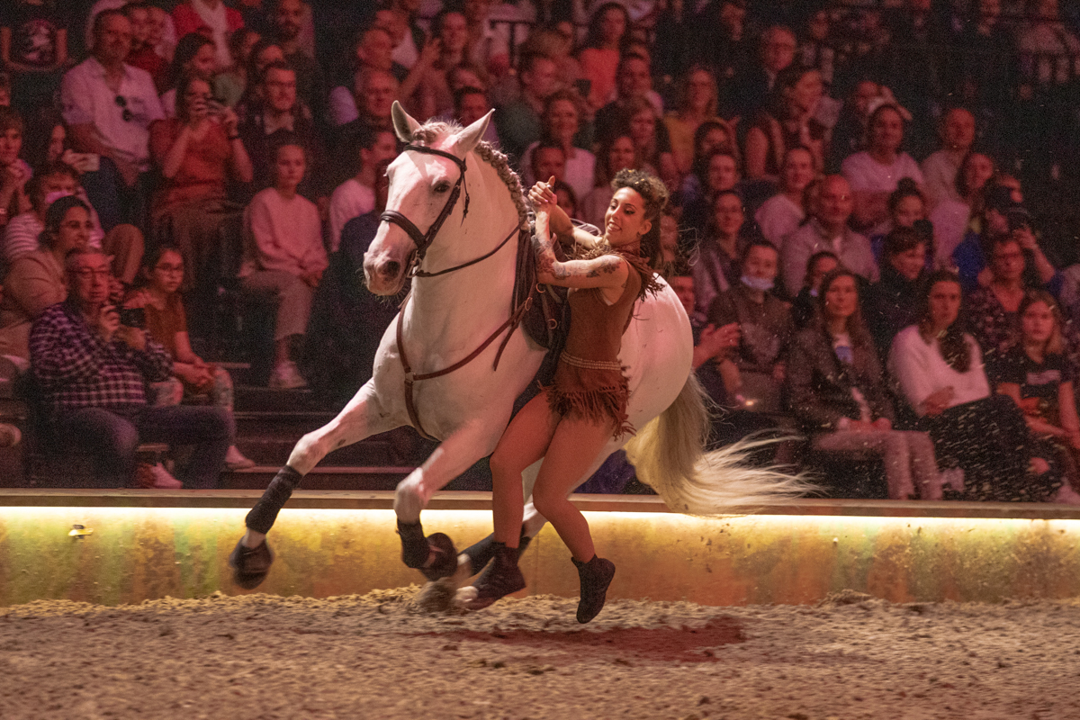 Cavalluna "Celebration" @ Sportpaleis, picture 31, photographed by dirk janssens - FrontView Magazine