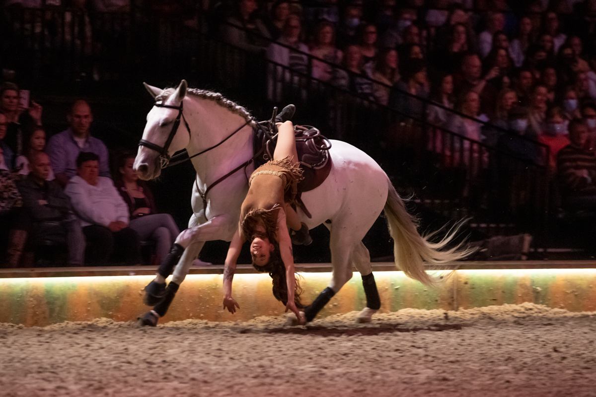 Cavalluna "Celebration" @ Sportpaleis, picture 33, photographed by dirk janssens - FrontView Magazine