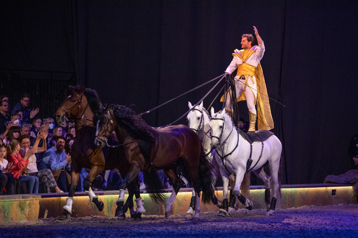 Cavalluna "Celebration" @ Sportpaleis, picture 36, photographed by dirk janssens - FrontView Magazine