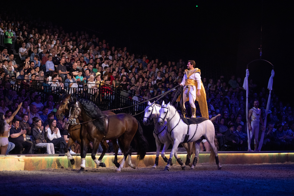 Cavalluna "Celebration" @ Sportpaleis, picture 37, photographed by dirk janssens - FrontView Magazine