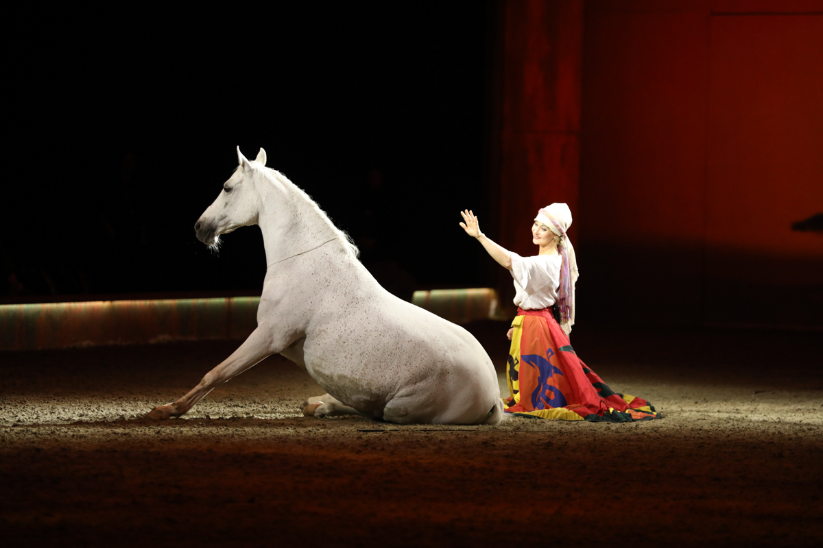 Cavalluna "Celebration" @ Sportpaleis, picture 40, photographed by dirk janssens - FrontView Magazine