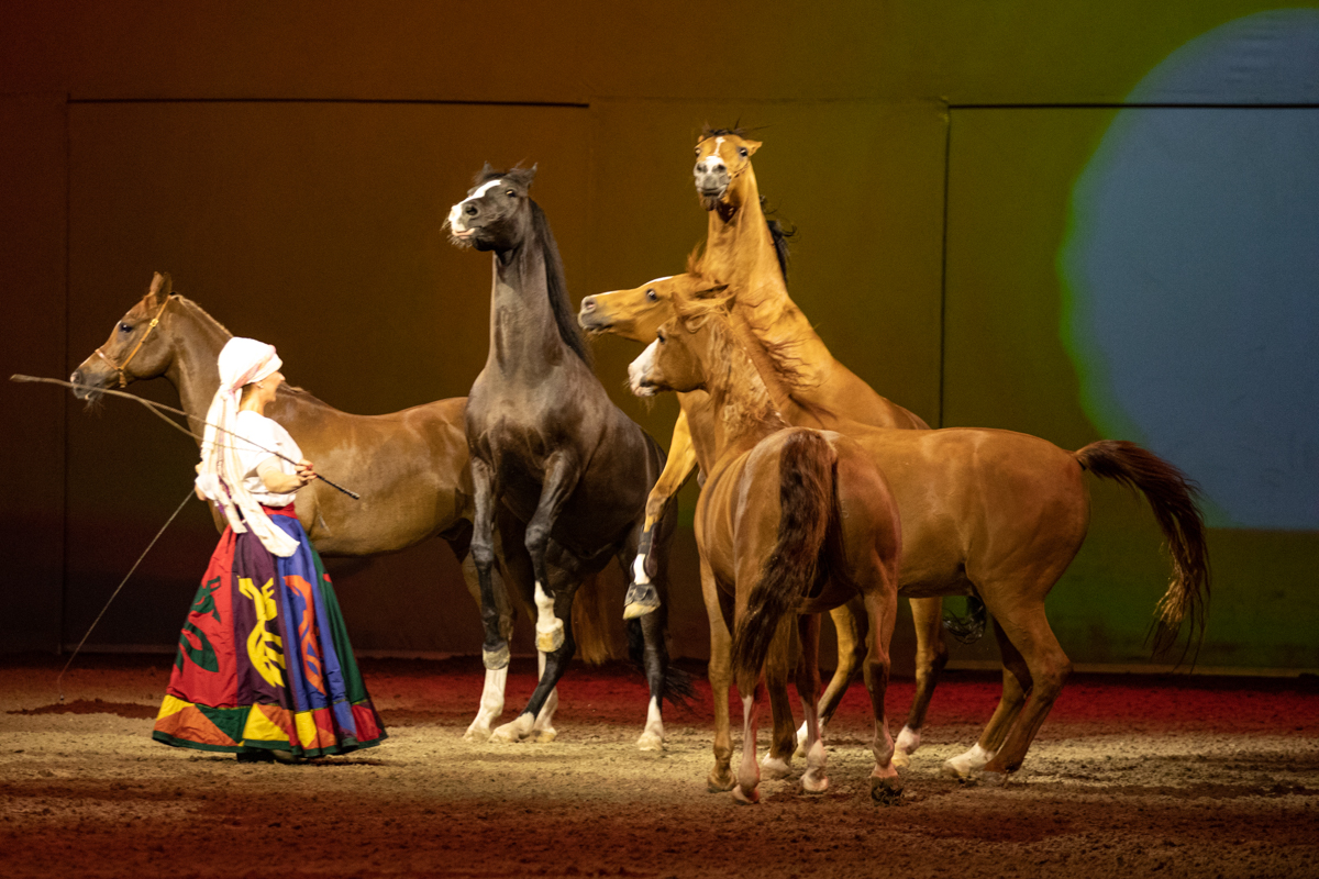 Cavalluna "Celebration" @ Sportpaleis, picture 41, photographed by dirk janssens - FrontView Magazine