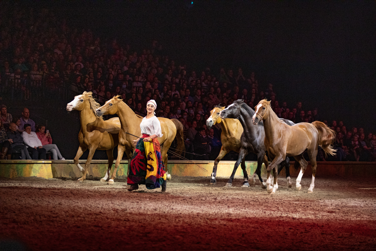 Cavalluna "Celebration" @ Sportpaleis, picture 42, photographed by dirk janssens - FrontView Magazine