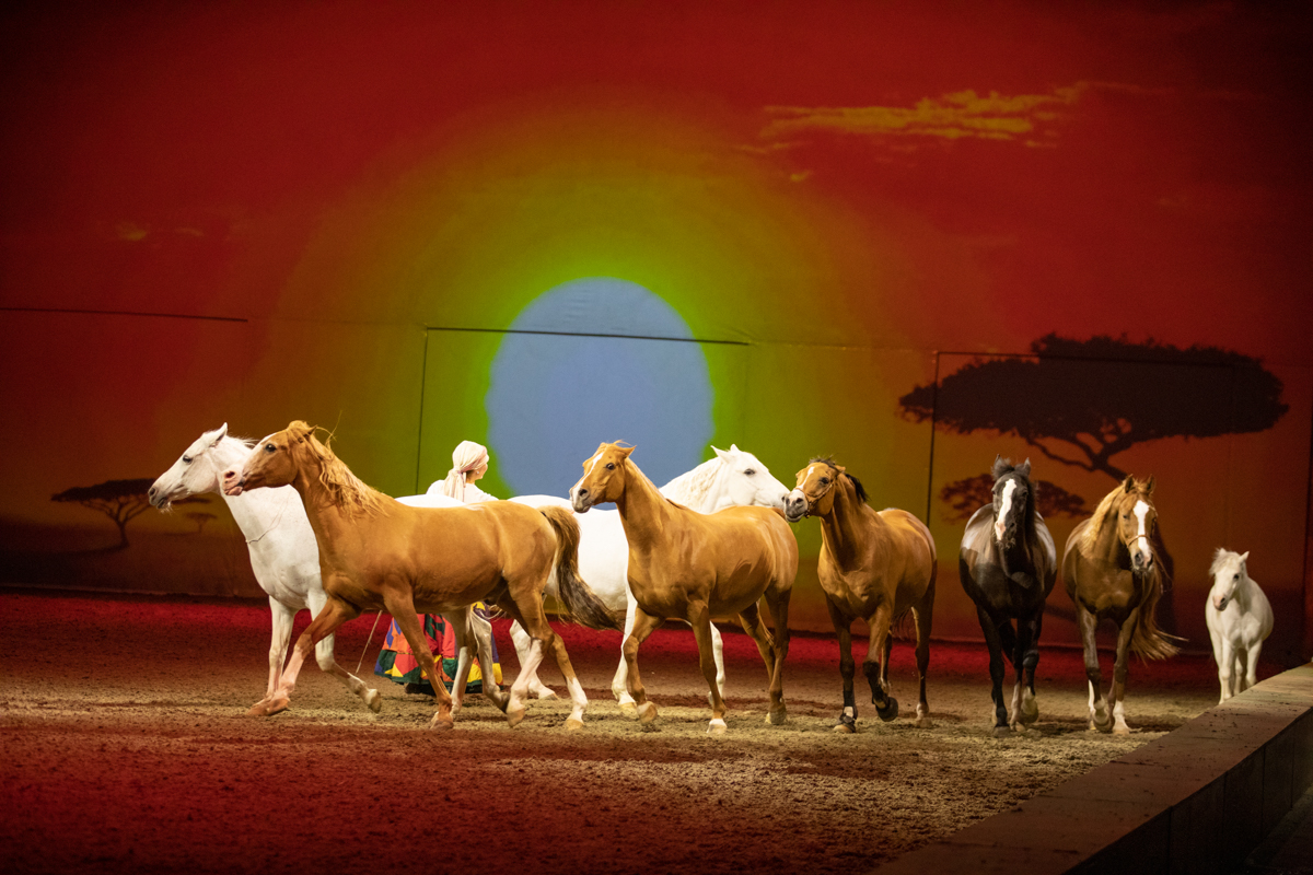Cavalluna "Celebration" @ Sportpaleis, picture 43, photographed by dirk janssens - FrontView Magazine