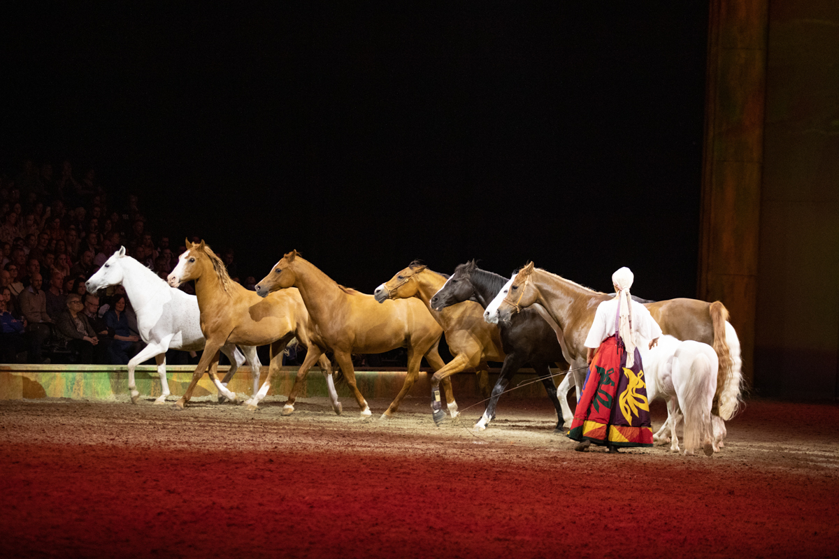 Cavalluna "Celebration" @ Sportpaleis, picture 44, photographed by dirk janssens - FrontView Magazine