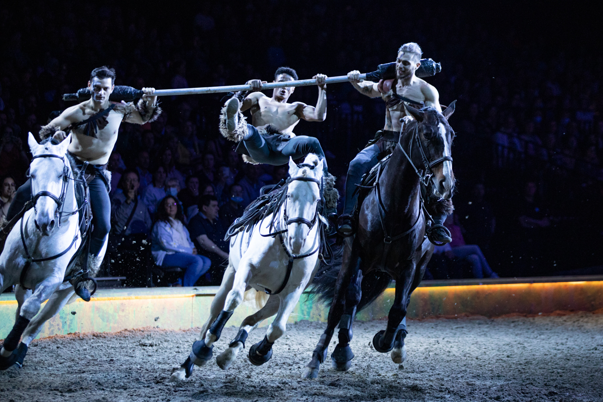 Cavalluna "Celebration" @ Sportpaleis, picture 46, photographed by dirk janssens - FrontView Magazine