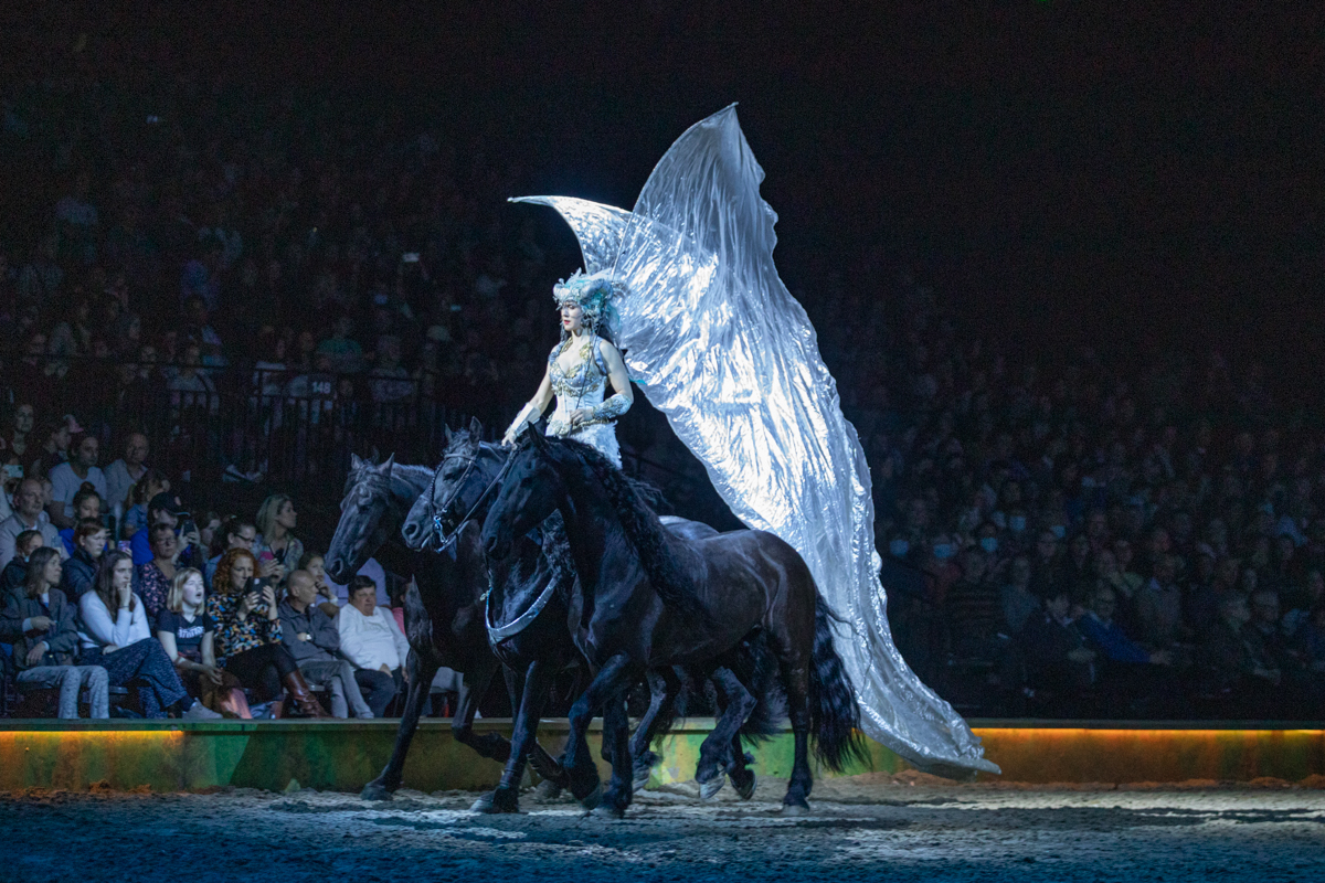 Cavalluna "Celebration" @ Sportpaleis, picture 56, photographed by dirk janssens - FrontView Magazine