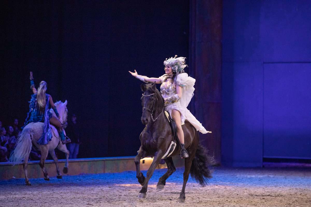 Cavalluna "Celebration" @ Sportpaleis, picture 64, photographed by dirk janssens - FrontView Magazine
