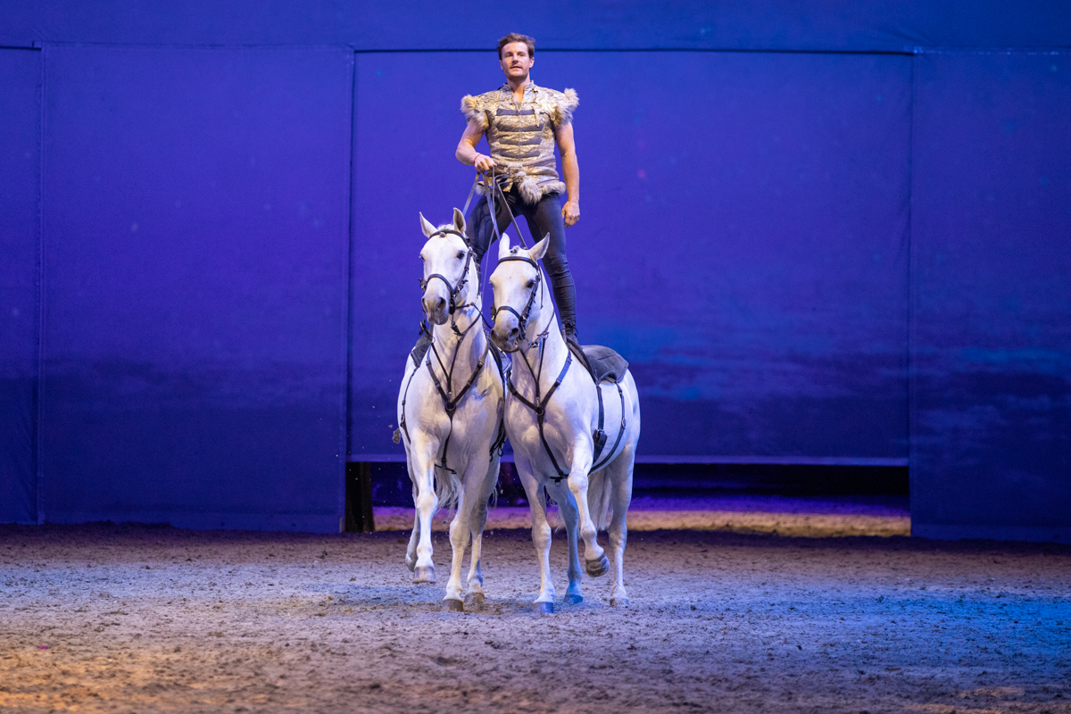 Cavalluna "Celebration" @ Sportpaleis, picture 66, photographed by dirk janssens - FrontView Magazine