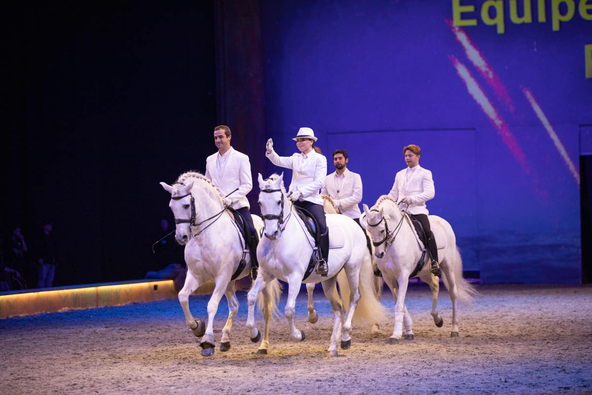 Cavalluna "Celebration" @ Sportpaleis, picture 67, photographed by dirk janssens - FrontView Magazine