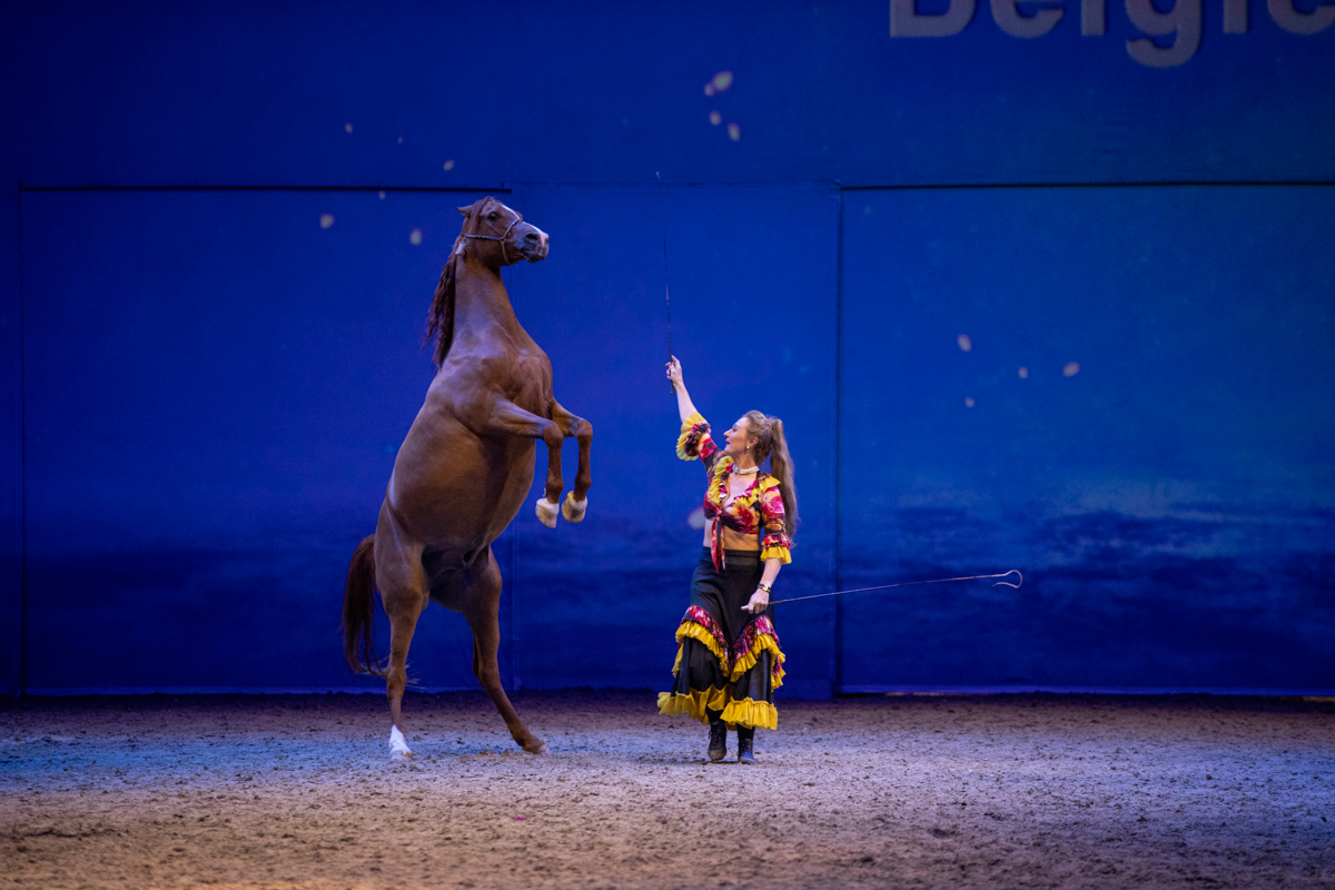 Cavalluna "Celebration" @ Sportpaleis, picture 68, photographed by dirk janssens - FrontView Magazine