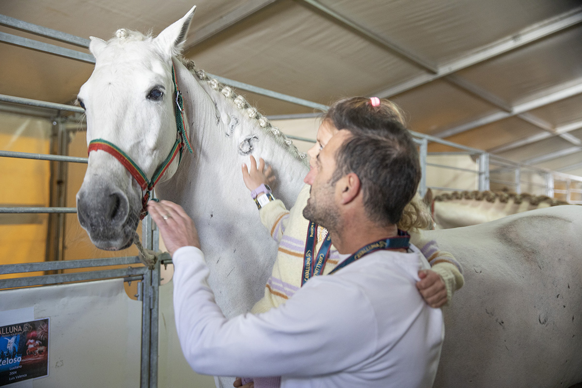 Cavalluna "Celebration" stable Tour backstage @ Sportpaleis, picture 1, photographed by dirk janssens - FrontView Magazine