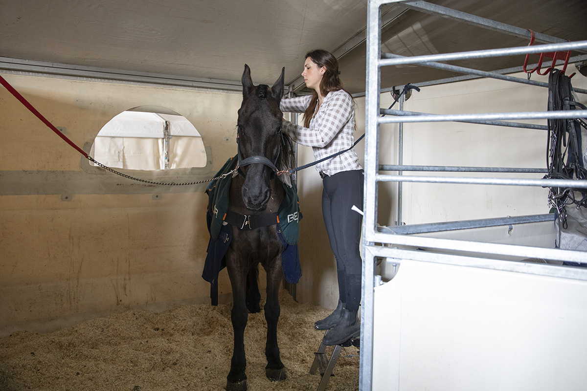 Cavalluna "Celebration" stable Tour backstage @ Sportpaleis, picture 2, photographed by dirk janssens - FrontView Magazine