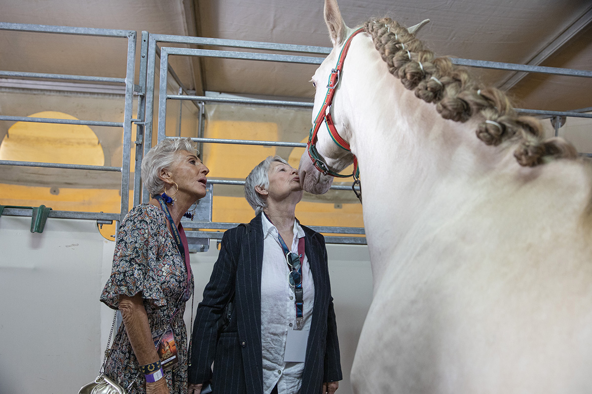 Cavalluna "Celebration" stable Tour backstage @ Sportpaleis, picture 16, photographed by dirk janssens - FrontView Magazine