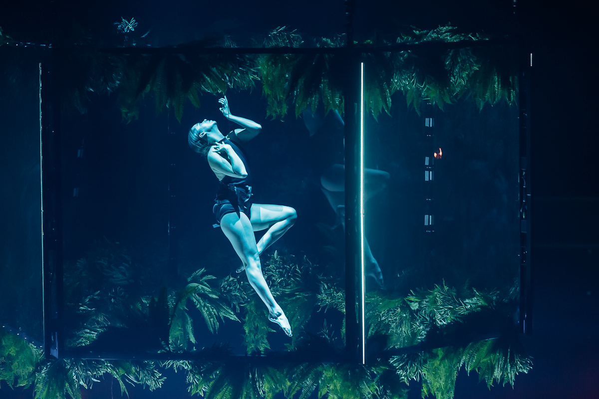 Netsky @ Lotto Arena, picture 11, photographed by Peter Smet - FrontView Magazine