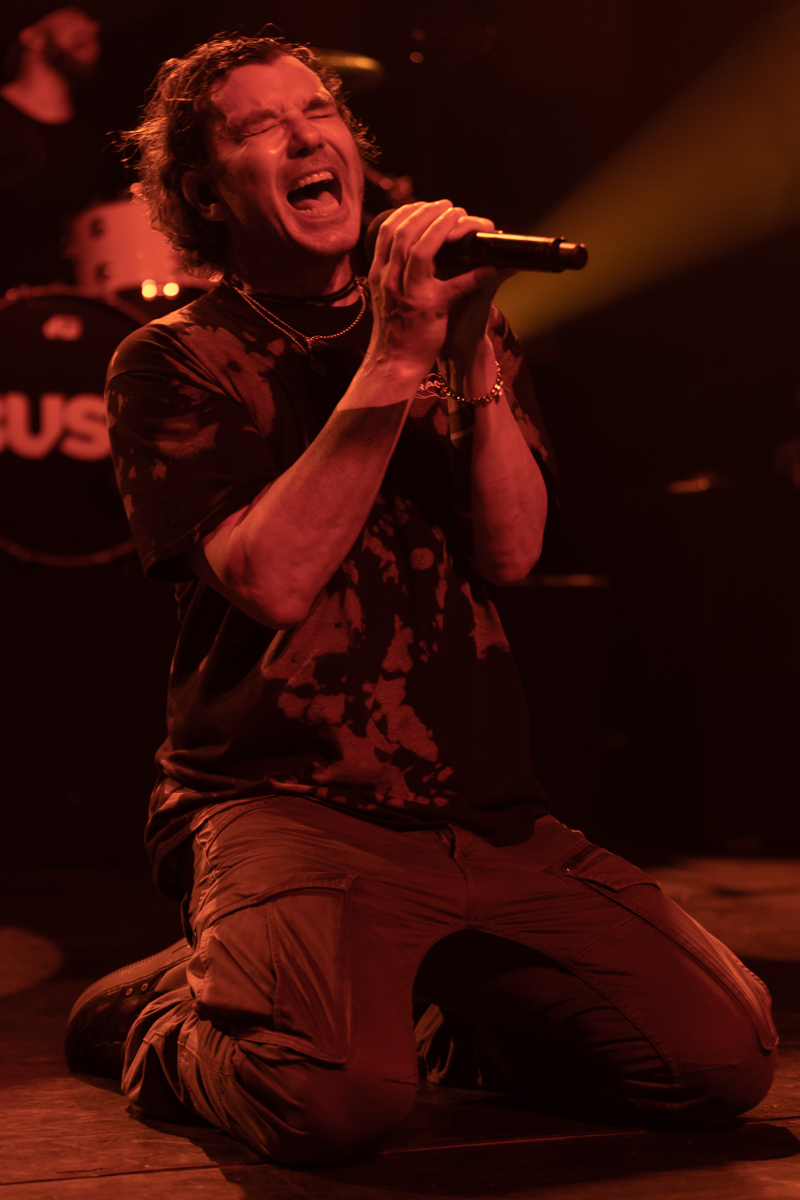 Bush @ Trix, picture 4, photographed by David Johnson - FrontView Magazine