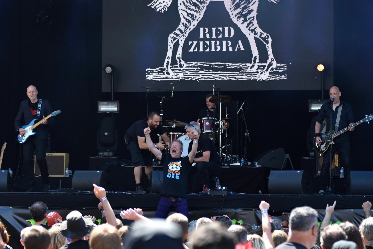 Red Zebra @ Sinner' s day Summer, picture 10, photographed by Luc Klinckaert - FrontView Magazine