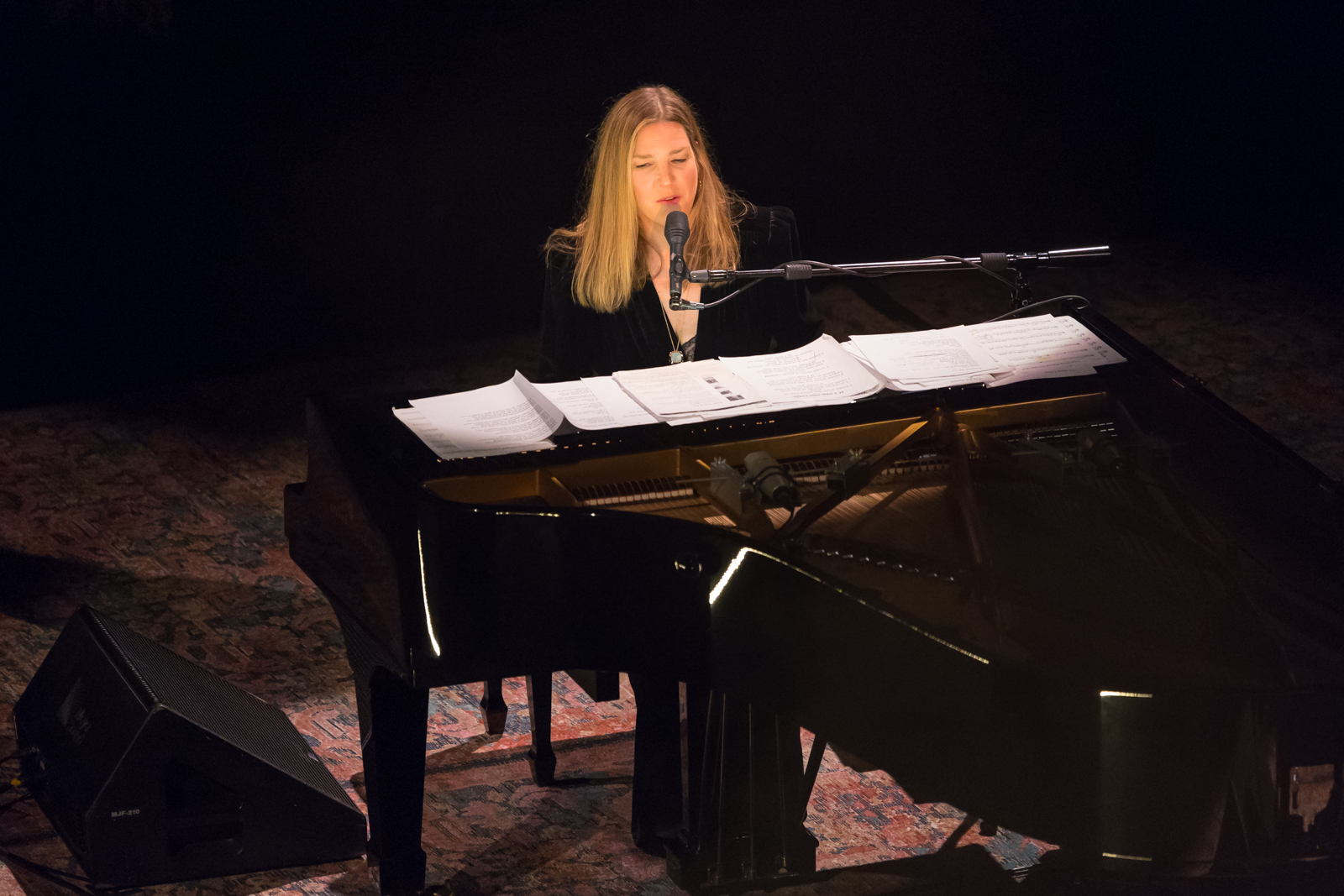 Diana Krall in concert World Tour, picture 9, photographed by Paul Jongeneelen - FrontView Magazine