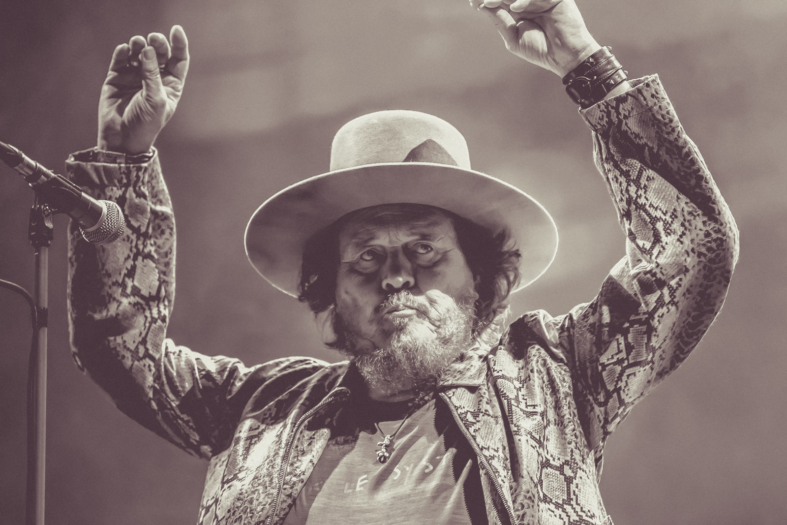 Emma Bale, Kelis and Zucchero @ Suikerrock 2022, foto 16, foto's door Paul Jongeneelen - FrontView Magazine