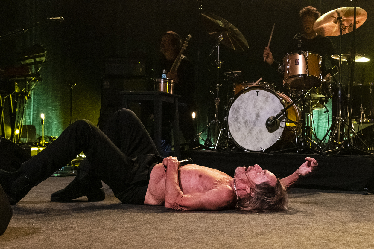 Iggy Pop Jazz Middelheim @ Park Den Brandt, picture 1, photographed by Sandra Van Watermeulen - FrontView Magazine
