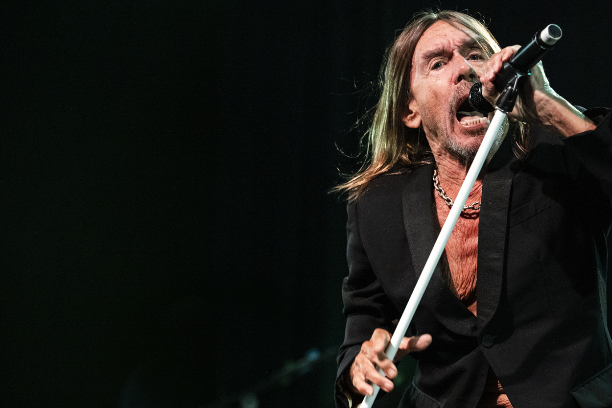 Iggy Pop Jazz Middelheim @ Park Den Brandt, picture 2, photographed by Sandra Van Watermeulen - FrontView Magazine
