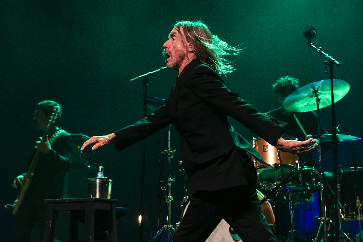 Iggy Pop Jazz Middelheim @ Park Den Brandt, picture 4, photographed by Sandra Van Watermeulen - FrontView Magazine