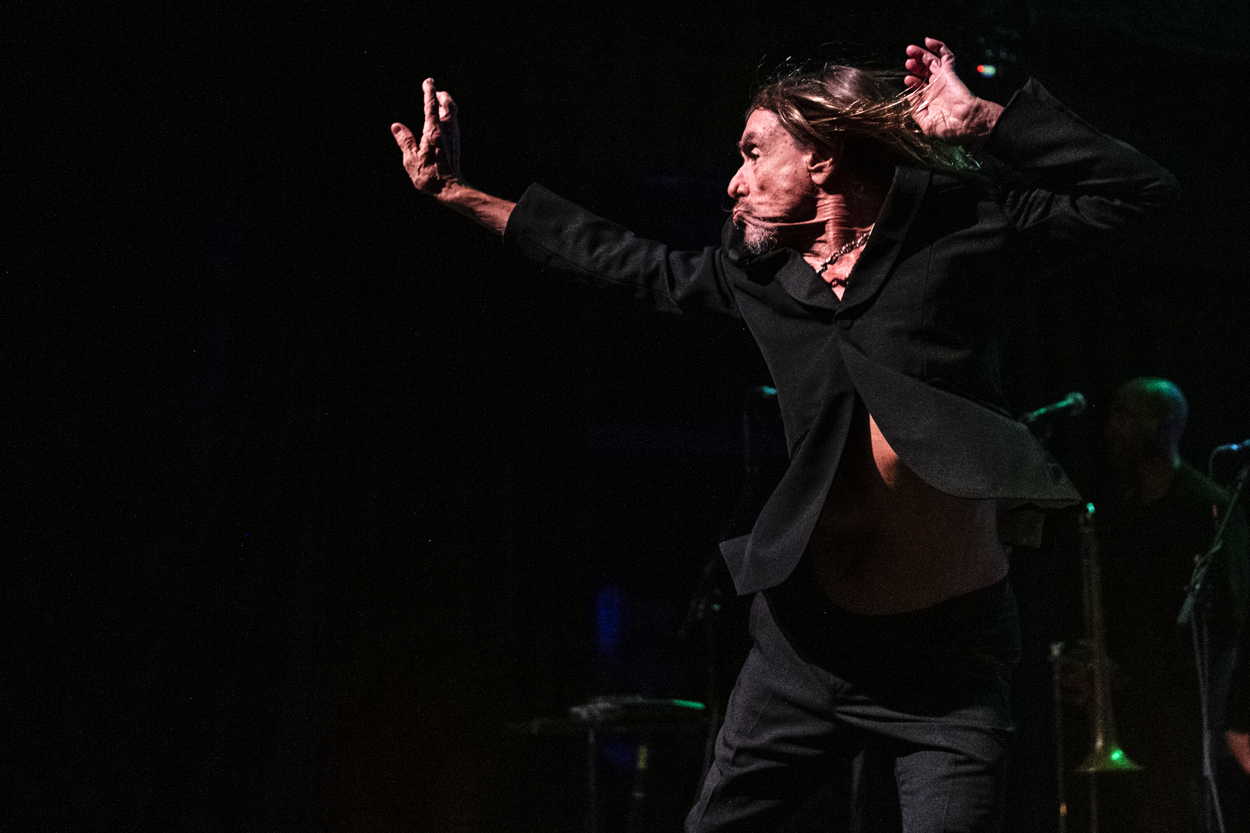 Iggy Pop Jazz Middelheim @ Park Den Brandt, picture 5, photographed by Sandra Van Watermeulen - FrontView Magazine