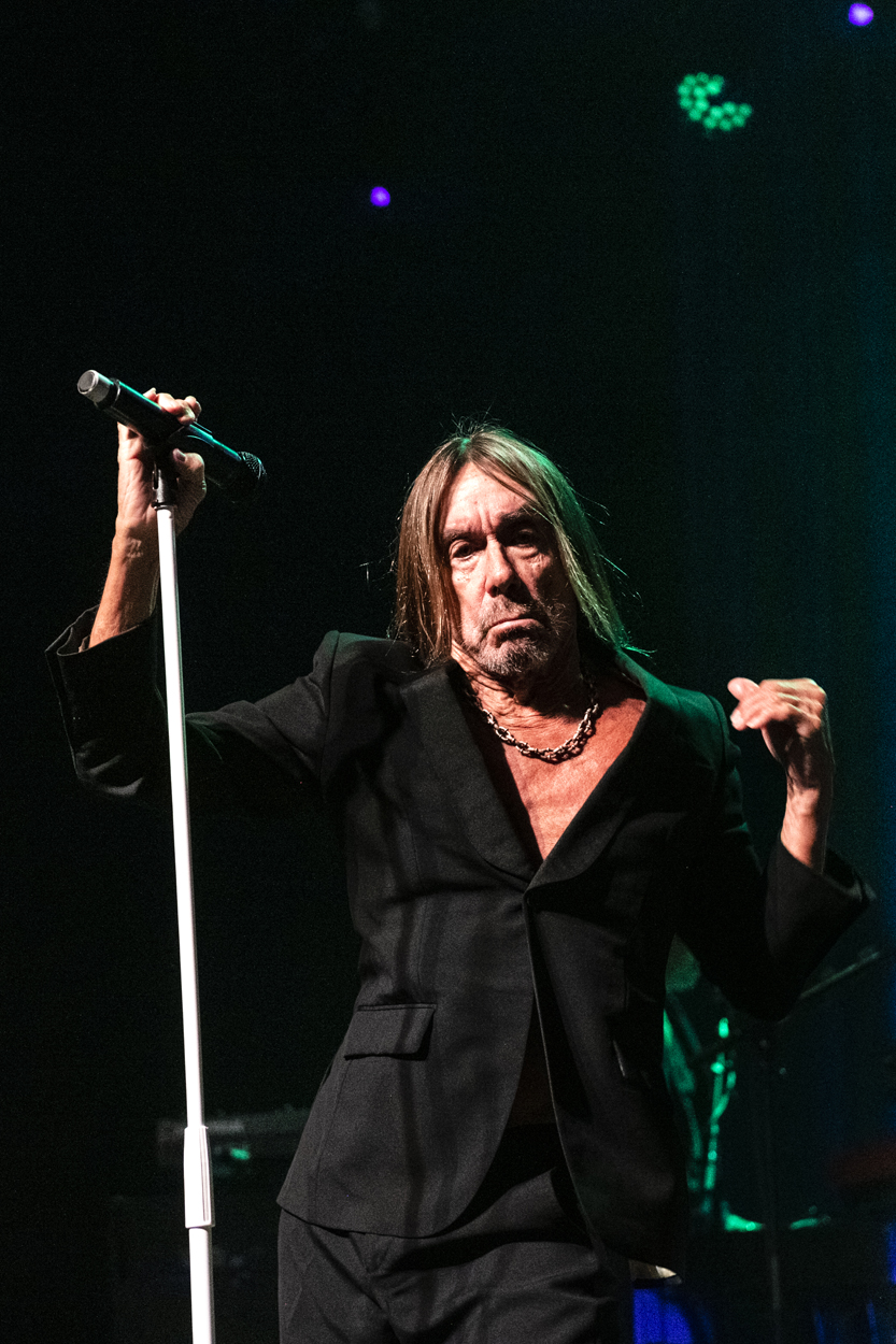 Iggy Pop Jazz Middelheim @ Park Den Brandt, picture 6, photographed by Sandra Van Watermeulen - FrontView Magazine