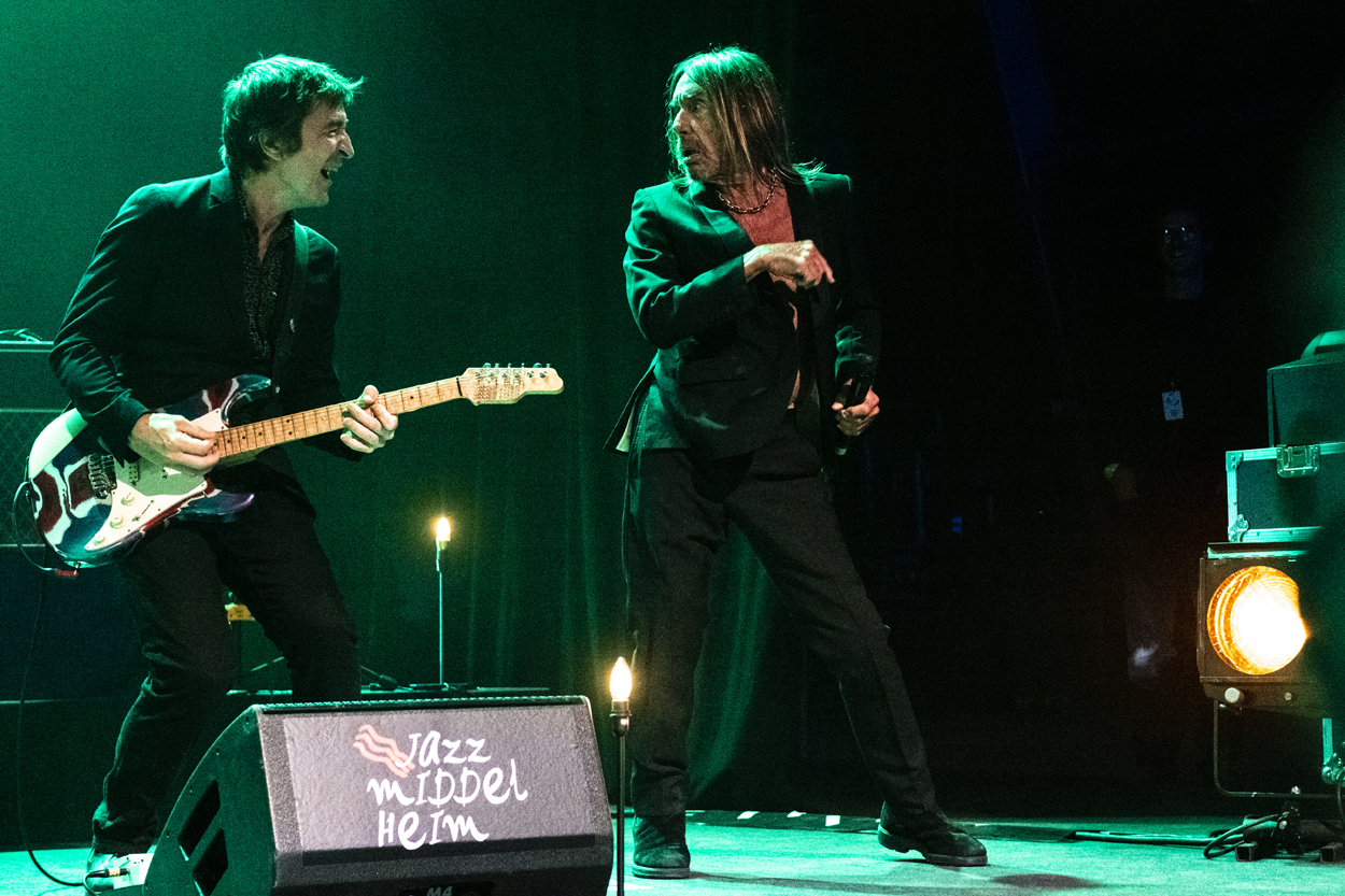 Iggy Pop Jazz Middelheim @ Park Den Brandt, picture 10, photographed by Sandra Van Watermeulen - FrontView Magazine