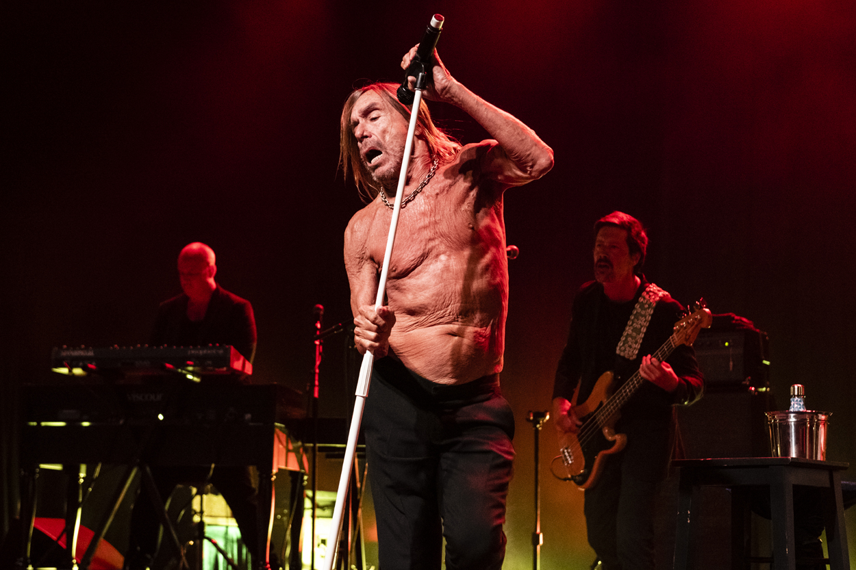 Iggy Pop Jazz Middelheim @ Park Den Brandt, picture 12, photographed by Sandra Van Watermeulen - FrontView Magazine