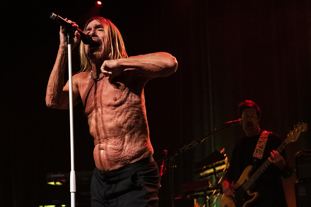 Iggy Pop Jazz Middelheim @ Park Den Brandt, picture 13, photographed by Sandra Van Watermeulen - FrontView Magazine