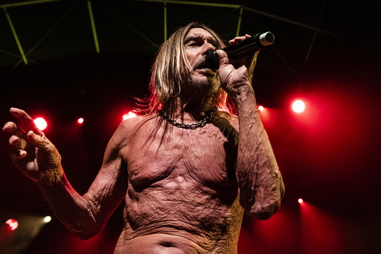 Iggy Pop Jazz Middelheim @ Park Den Brandt, picture 14, photographed by Sandra Van Watermeulen - FrontView Magazine