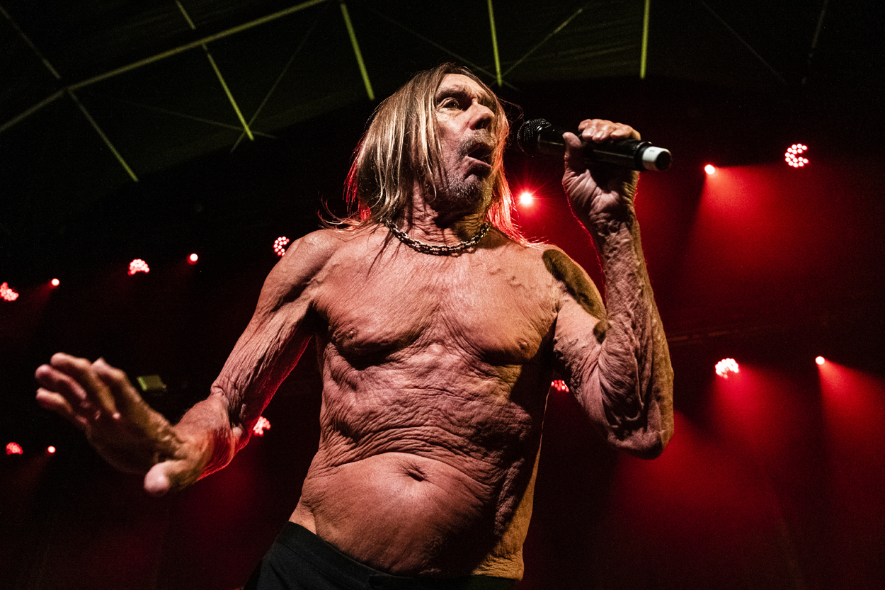 Iggy Pop Jazz Middelheim @ Park Den Brandt, picture 15, photographed by Sandra Van Watermeulen - FrontView Magazine