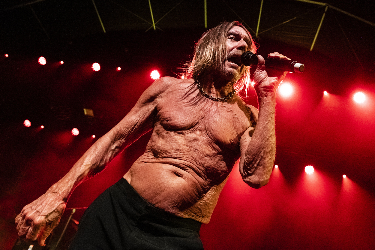 Iggy Pop Jazz Middelheim @ Park Den Brandt, picture 16, photographed by Sandra Van Watermeulen - FrontView Magazine